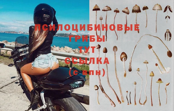 эйфоретик Ладушкин