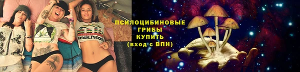 мескалин Лабытнанги