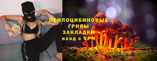 эйфоретик Ладушкин