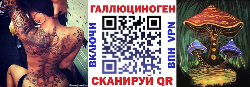гидра зеркало  Починок  Псилоцибиновые грибы Psilocybe 